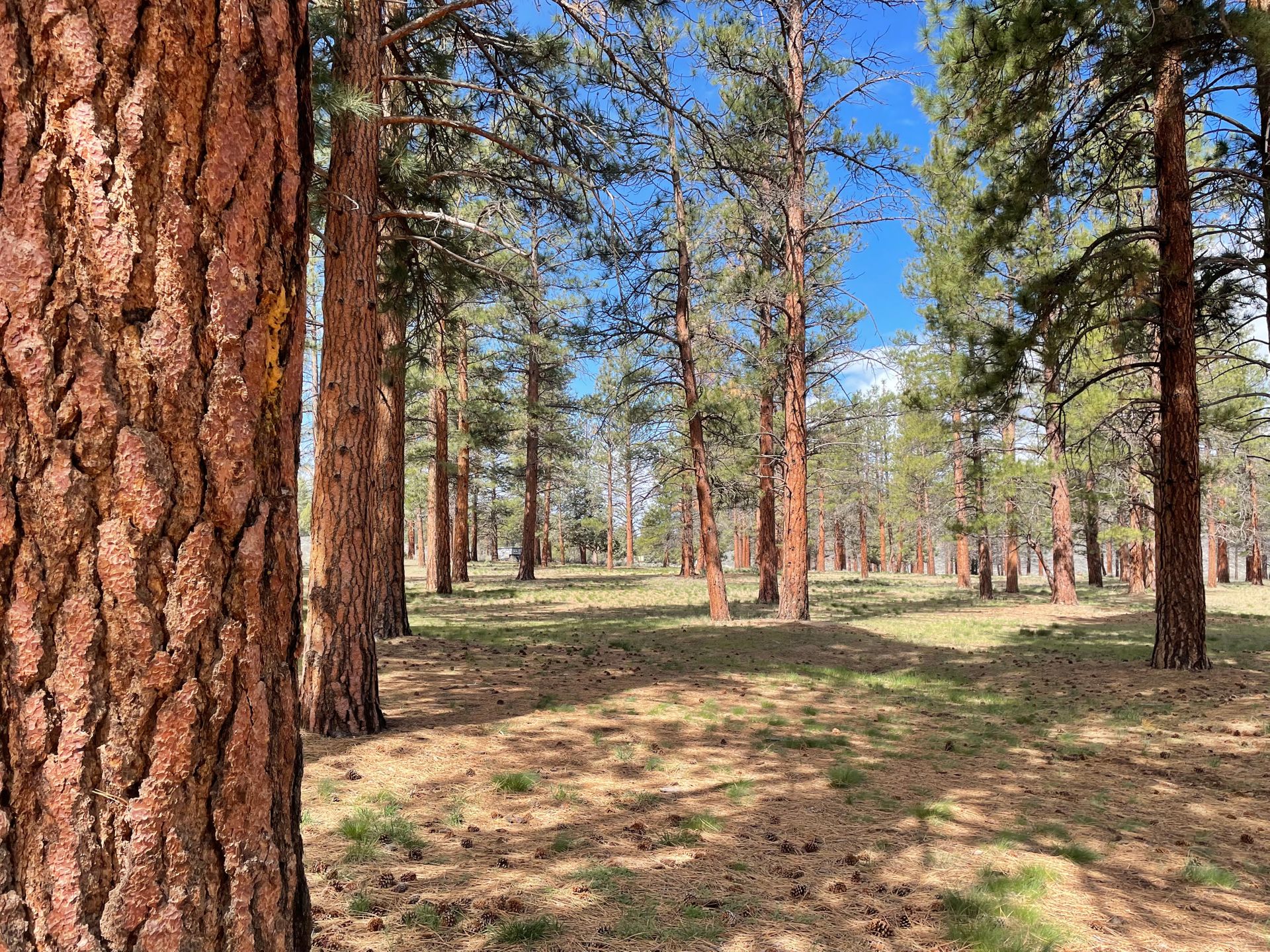 Coyote Ridge Campground, Fort Rock, Oregon