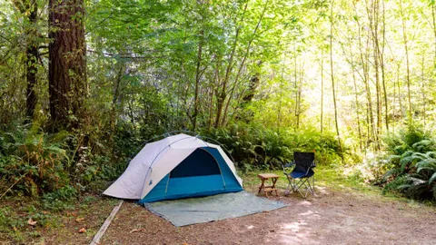 Primitive Tent Site — image 1 of 1