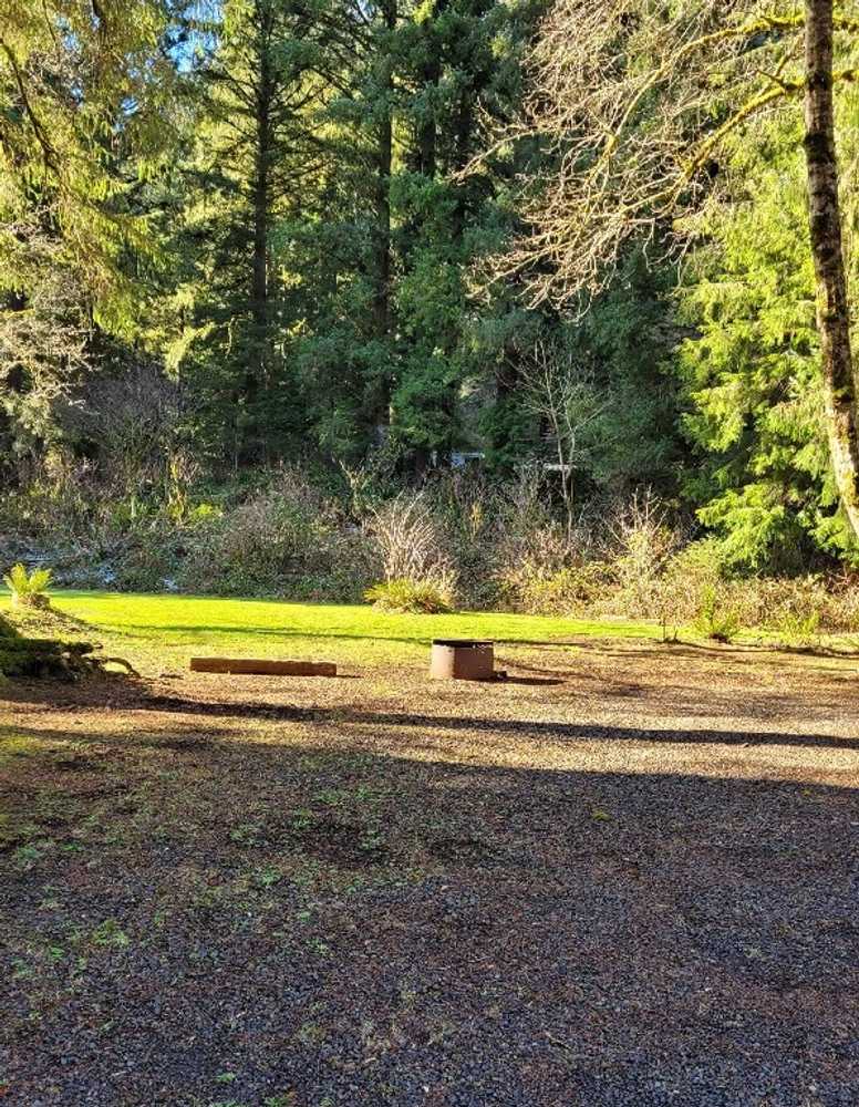 Kilchis River County Campground - Photo 4