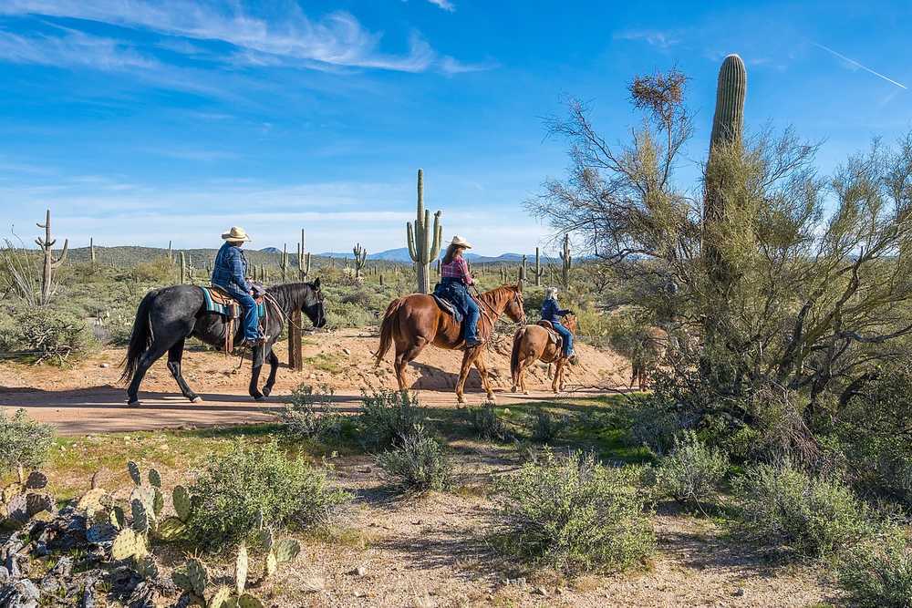 Ride Out Ranch - Photo 4