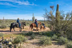 Ride Out Ranch – photo 4