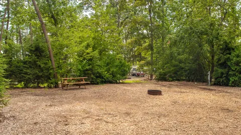 Premium Back-In RV Site — image 3 of 3