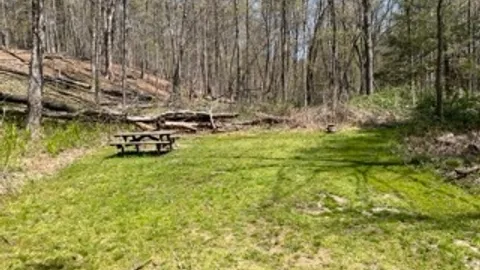 River Forest Site - 10 Person Maximum — image 2 of 2