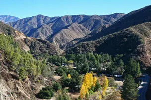 Camp William Resort – photo 4