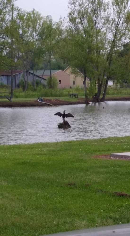 Bayou Black RV Park, Gibson, Louisiana - Photo 4