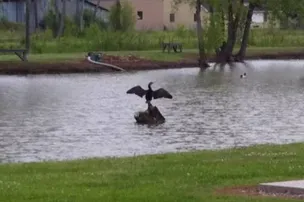 Bayou Black RV Park – photo 4