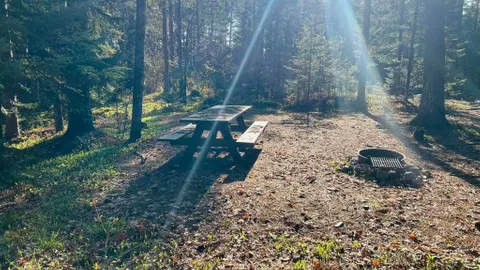 WOODED SITE 15 — image 4 of 4