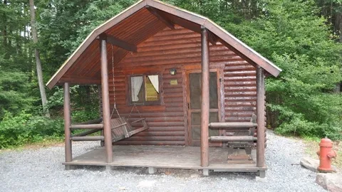 2 Room Pet Friendly Primitive Cabin — image 1 of 4