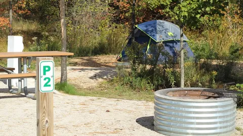 Primitive Tent Site (Electric/Wifi) — image 2 of 5