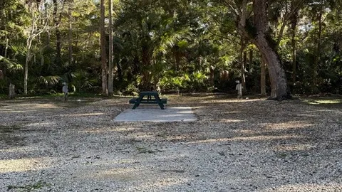 Back In — image 2 of 5
