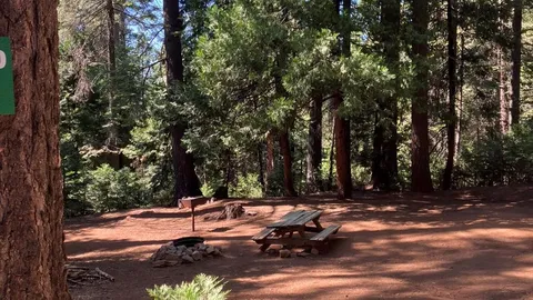 Tent — image 1 of 6