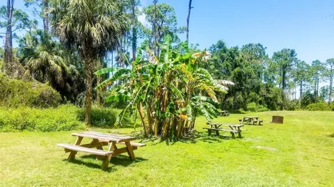 Primitive Tent Site — image 1 of 5