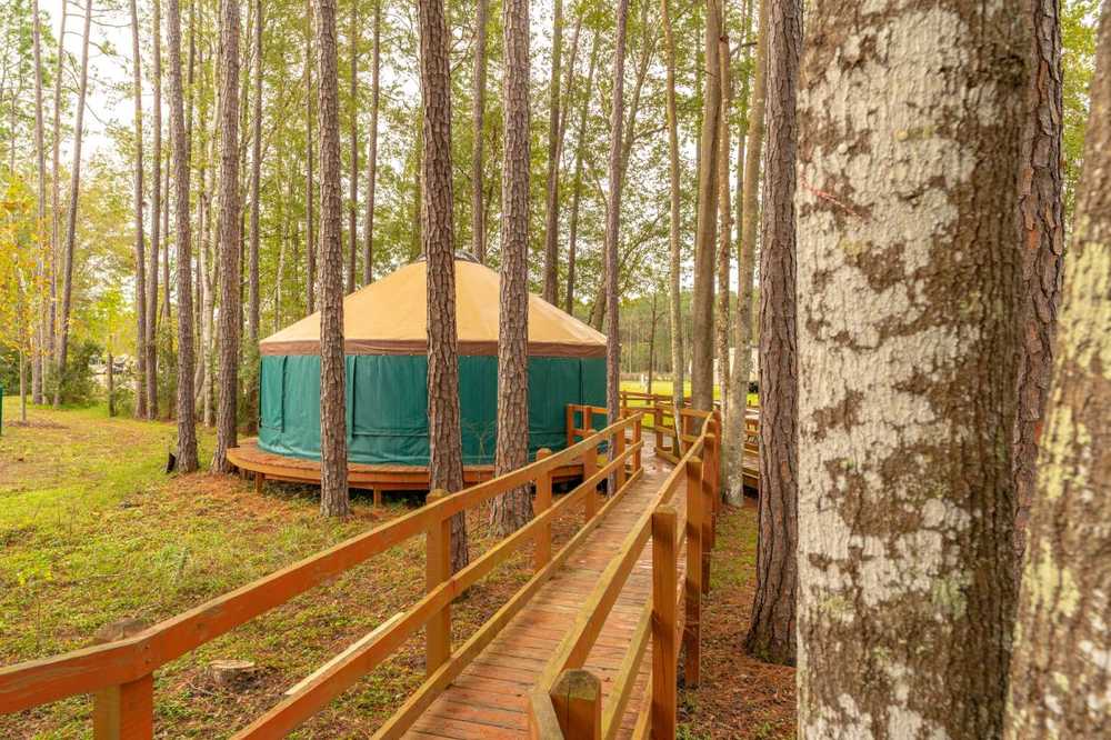 Flamingo Lake RV Resort - Jacksonville, Florida - Campspot