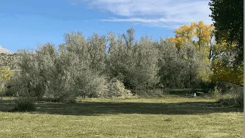 Group Site — image 1 of 3