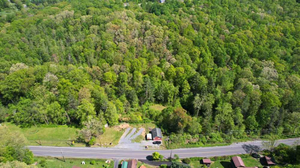 Yogi's RV Retreat and Nature Suites - Summersville, WV - Photo 4