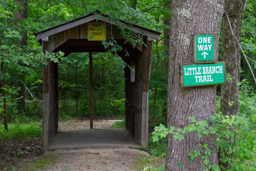 Park Image 18