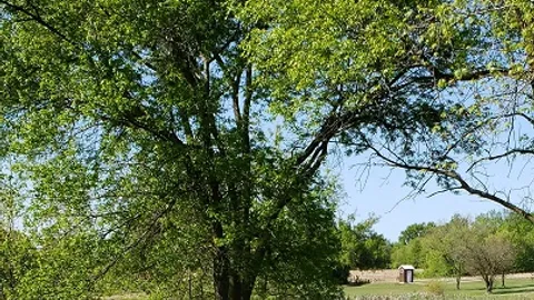 Any size camper and 4 Group Tent Site, 1 Picnic Table Pavillion ( RV 100' ) — image 11 of 11
