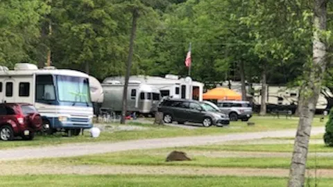 Pull-Through RV Site — image 1 of 1