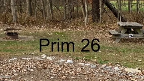 Primitive Tent  23-31 — image 2 of 3