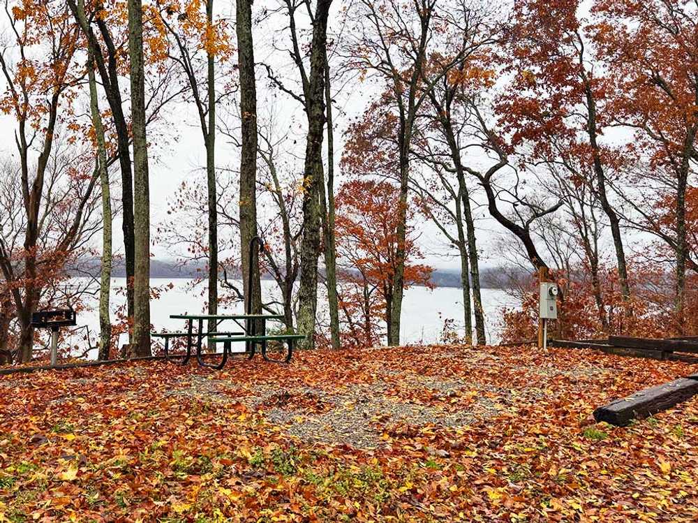 Danville Landing Campground  - Stewart, TN - Photo 2