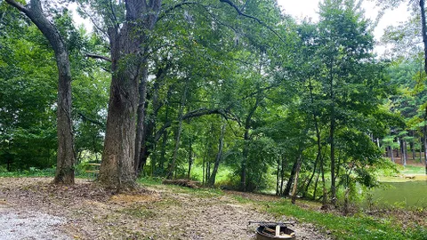 Owen's Loop / Single Tent / Lake Front — image 3 of 3