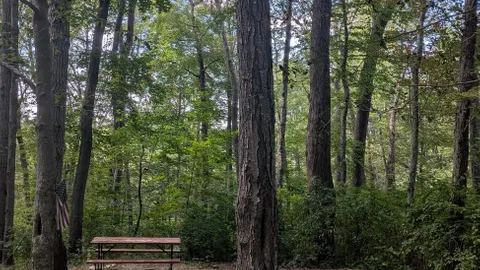 Tent Site With Electric — image 1 of 2