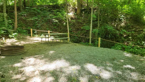 Mountainside Primitive Campsite — image 2 of 7