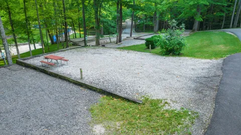 Deluxe Back-In RV Site — image 1 of 4