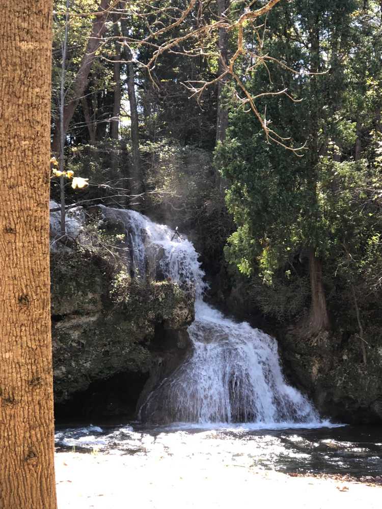 Shenandoah Valley Campground - Photo 4