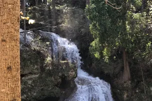 Shenandoah Valley Campground – photo 4