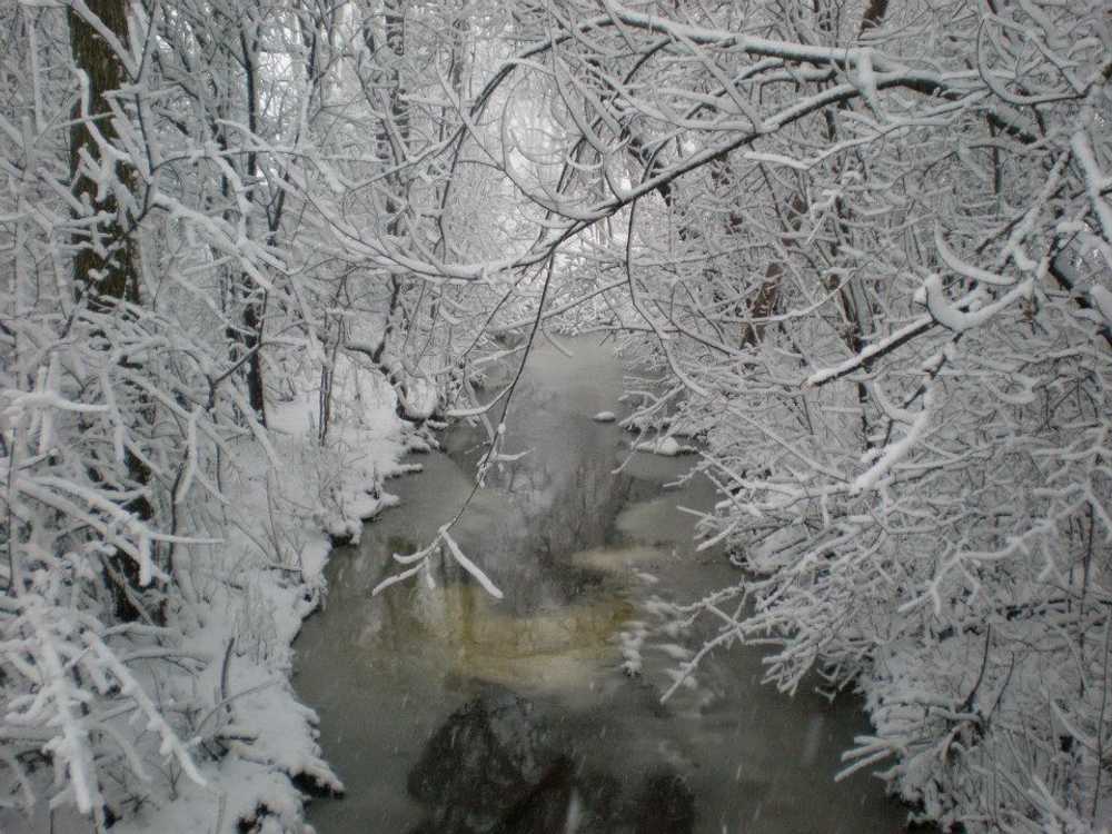Sleepy Hollow Farm Campground - Photo 4