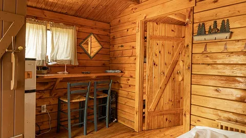 Large Cabin Rental E — image 9 of 9