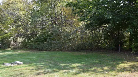Dry Camping Field  Site — image 6 of 6