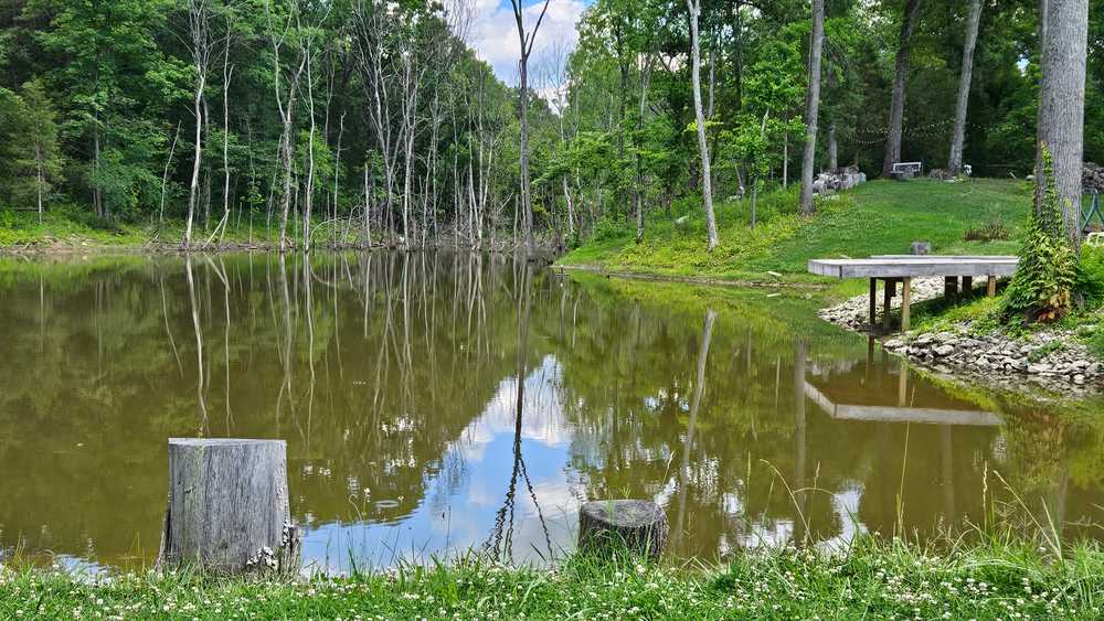 Shepherds RV Park - Shepherdsville, KY - Photo 2