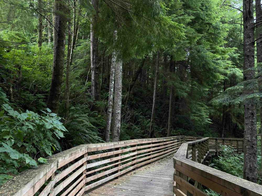 Fisherman's Cove RV Park, Ilwaco, Washington - Photo 5