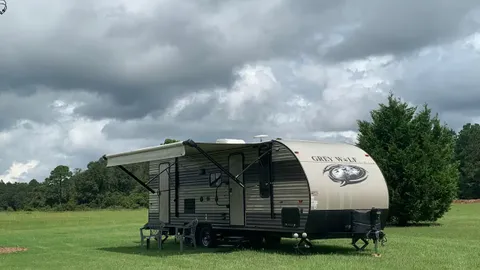 Adorable Grey Wolf Camper — image 1 of 1