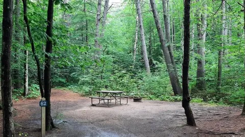 Pond side Water Tent Site — image 5 of 5