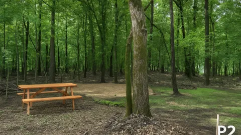 Primitive Tent Site — image 2 of 8