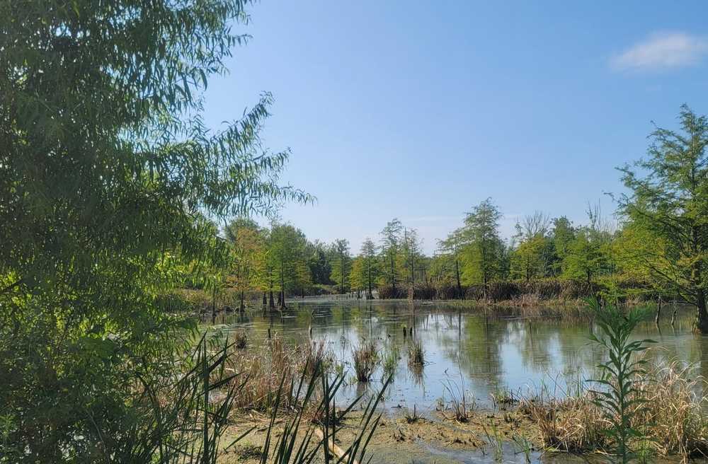 Park Image 9