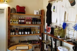 The RV Park at Burnt Marshmallow Brewstillery/Rudbeckia Winery – photo 4