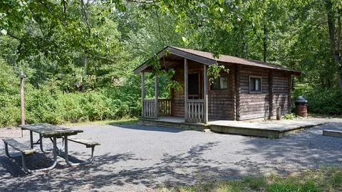 Forest View Cabin — image 1 of 3