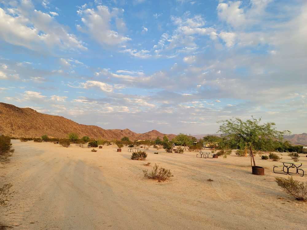 Joshua Tree Lake RV and Campground - Joshua Tree, CA - Photo 3