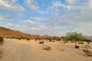 Joshua Tree Lake RV and Campground – photo 3