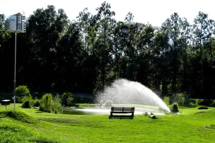 Suwannee River Rendezvous Resort and Campground – photo 4