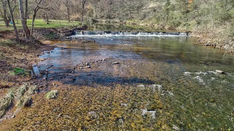Waterfront RV Site (Full Hook Up) — image 15 of 15