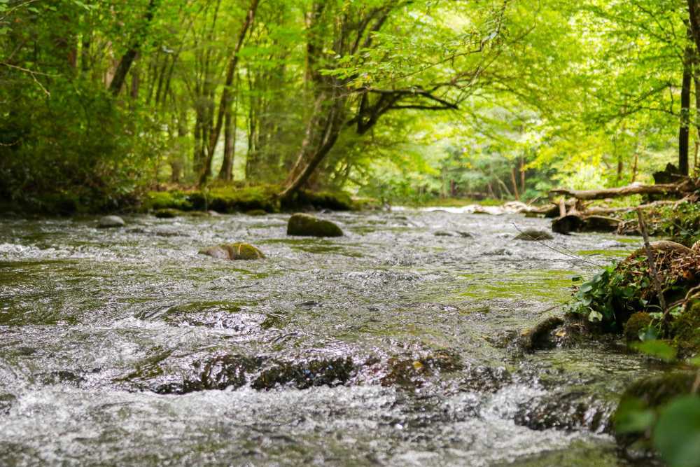 Park Image 23