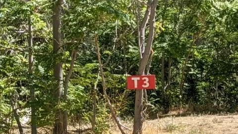 Primitive Camping — image 12 of 12