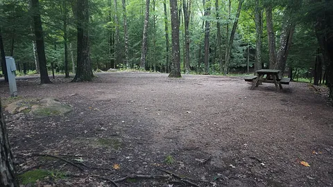 Electric Riverside RV Site — image 1 of 8