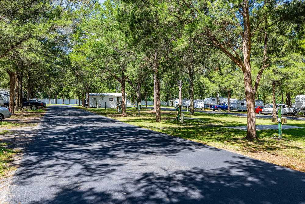 Cliftwood Mobile Home & RV Resort (Age Restricted 55+) - Photo 4