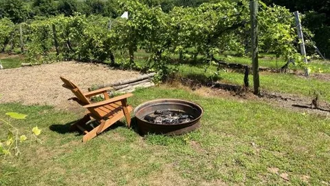 Single Tent - Vineyard — image 2 of 6
